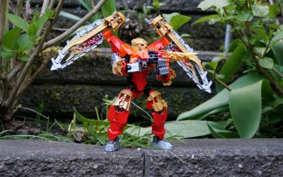 BioFormers