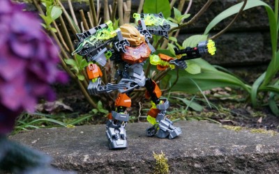 BioFormers II